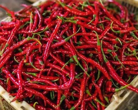 Fresh cayenne peppers - kg 