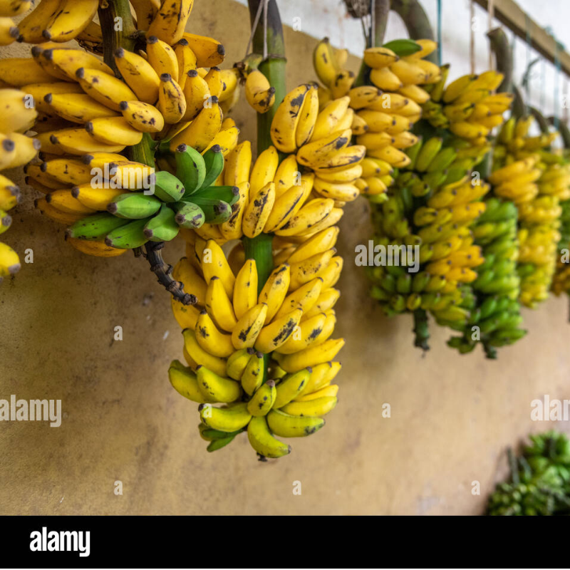 Banana - head...not available 