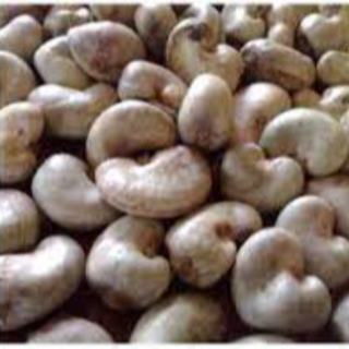 Raw unprocessed cashew - kg (not available)