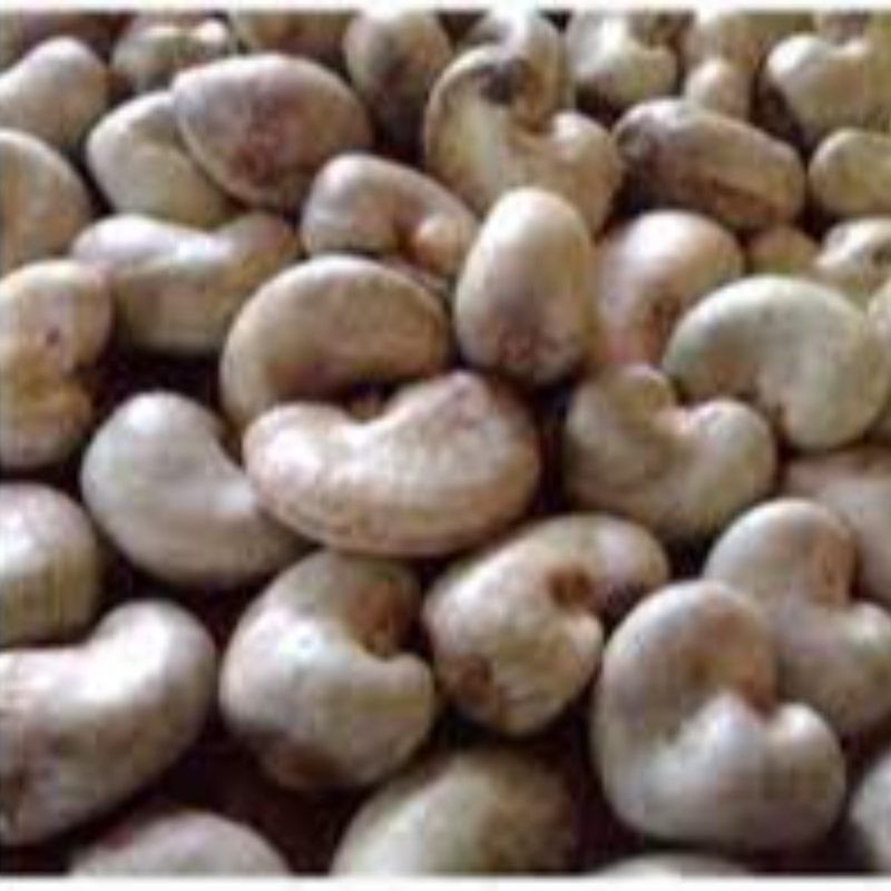 Raw unprocessed cashew - kg (not available) Main Image