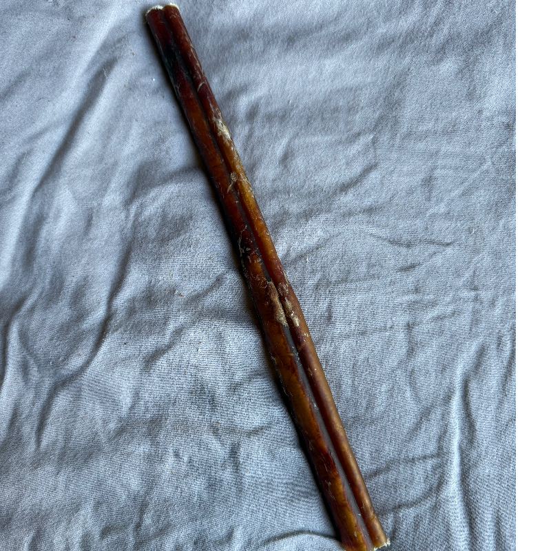 12in Large Bully Stick Main Image