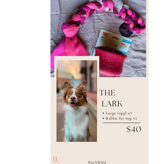 The Lark