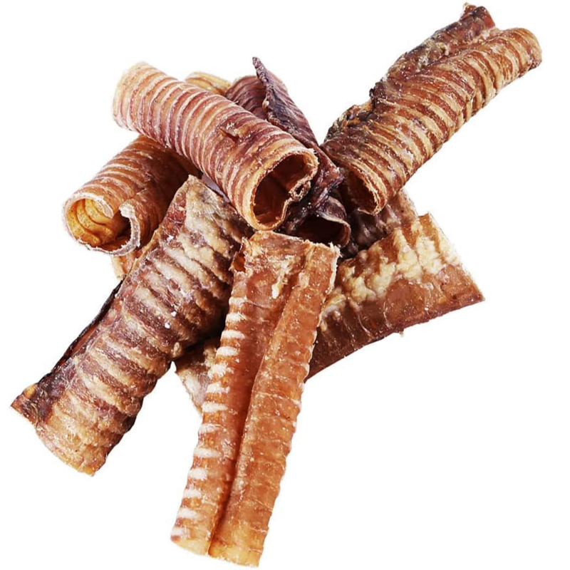 50ct Box of Trachea Main Image