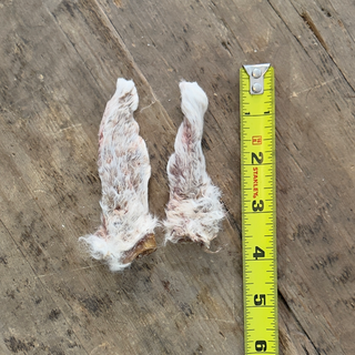 Rabbit Ears (2 count)