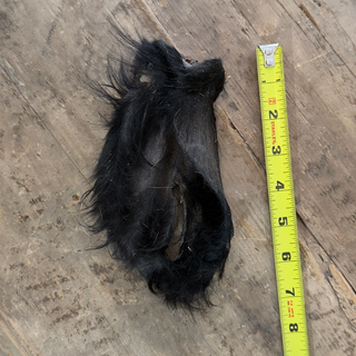Cow Ear