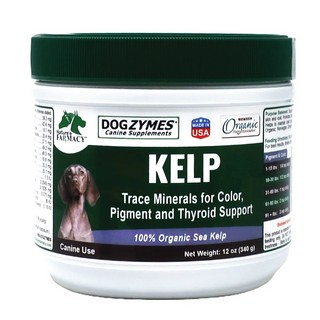 Kelp