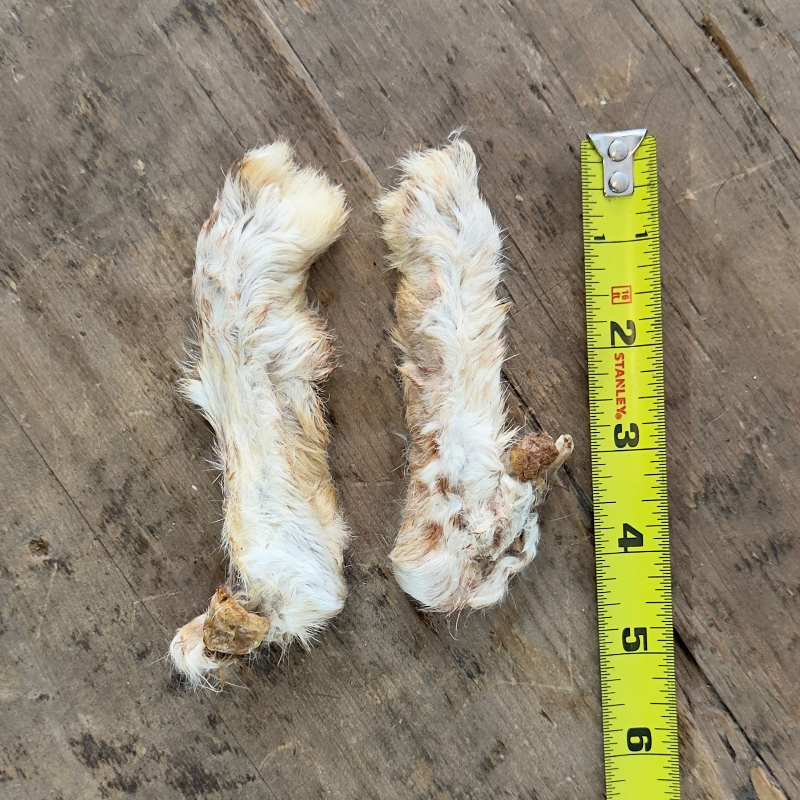 Rabbit Feet (2 count)