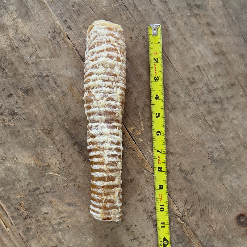Beef Trachea