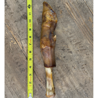 Water Buffalo Trotter