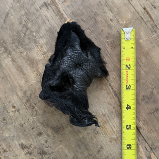 Cow Nose