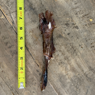 Beef Tendon (Junior Chew)