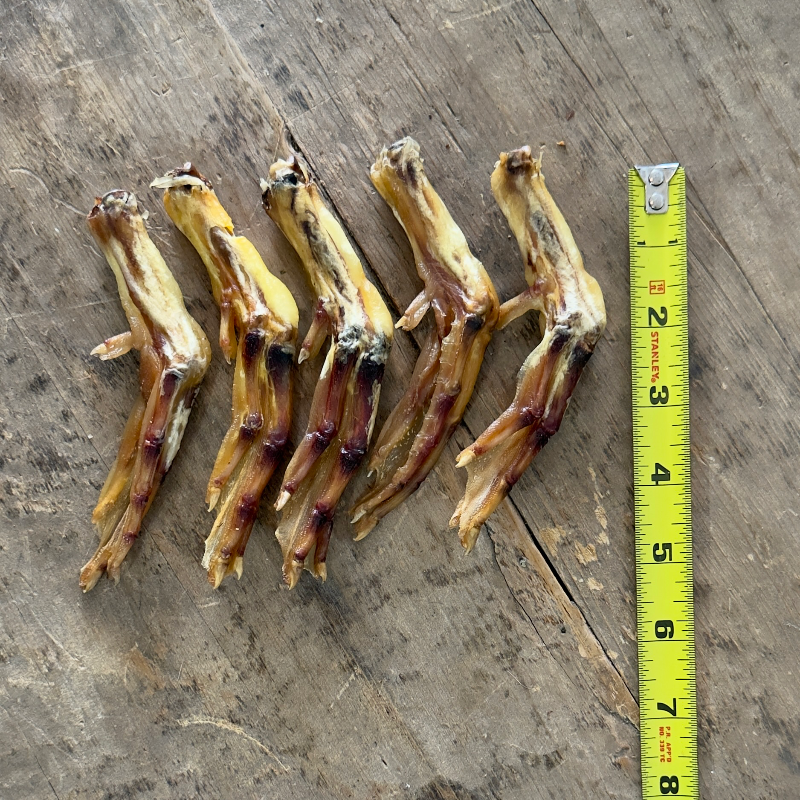 Duck Feet (5)