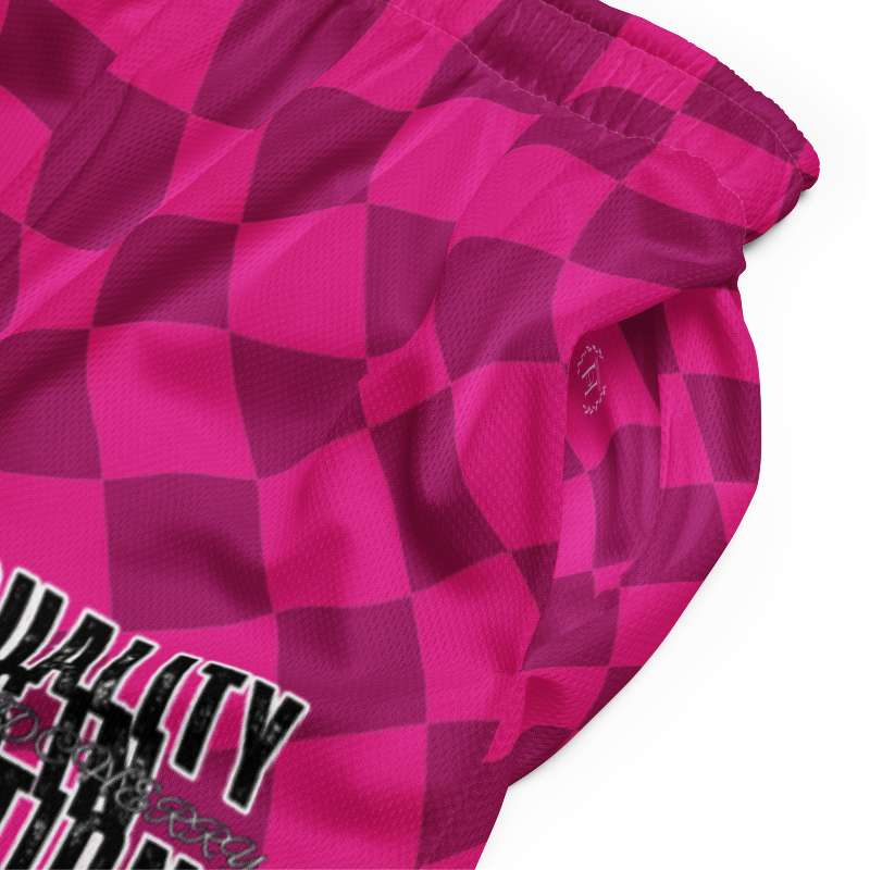 🚨NEW🚨HybridCherry “Equality Is In Motion” Mesh Shorts (Pink/Checkered) - Thumbnail (Preview) 3