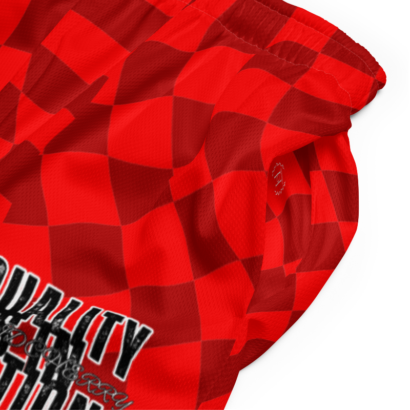 🚨NEW🚨HybridCherry “Equality Is In Motion” Mesh Shorts (Red/Checkered) - Thumbnail (Preview) 3