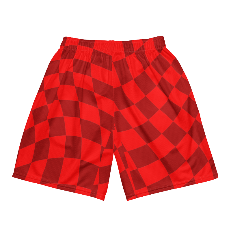 🚨NEW🚨HybridCherry “Equality Is In Motion” Mesh Shorts (Red/Checkered) - Thumbnail (Preview) 5