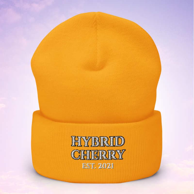 🚨NEW🚨 HYBRIDCHERRY “EST. 2021” Cuffed Beanie (Gold) Main Image