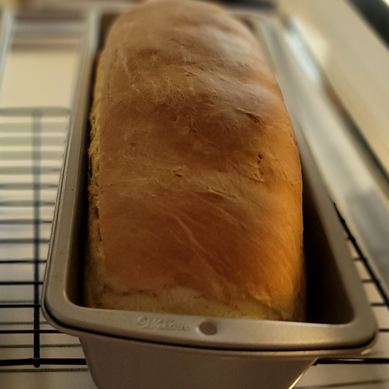 Amish White Bread 