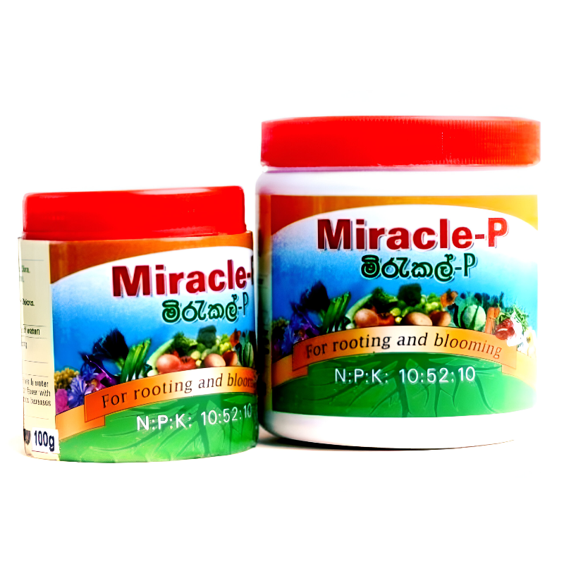 Miracle - P | මිරකල් - P