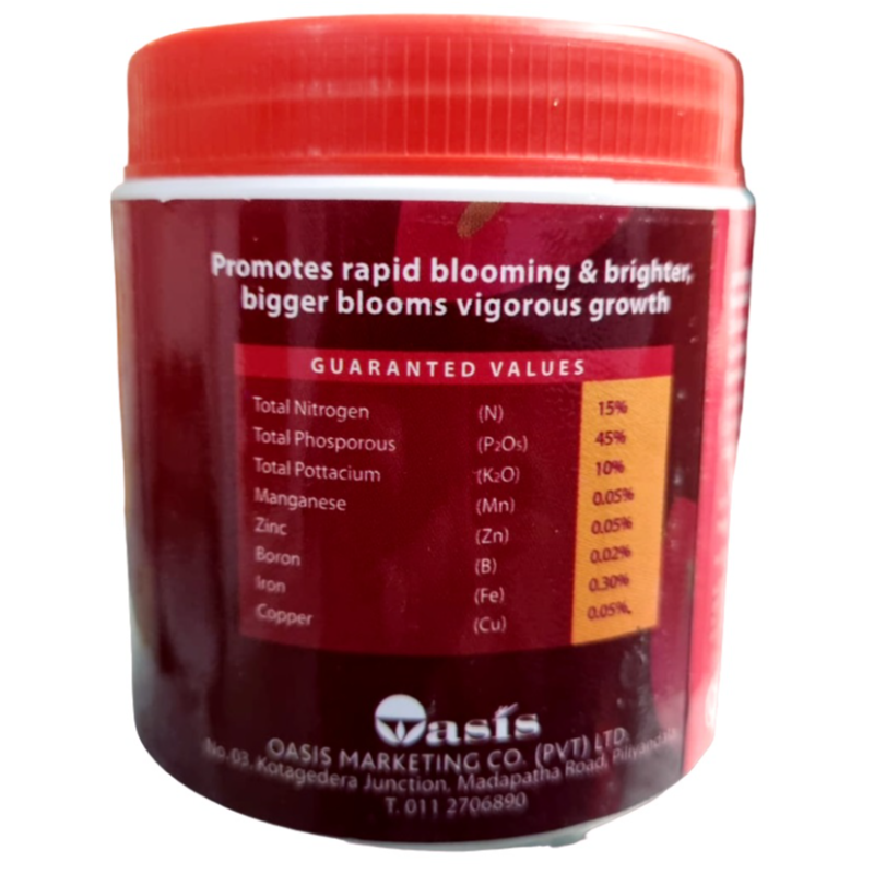 Anthurium Extra | අන්තුරියම් එක්ස්ට්‍රා 