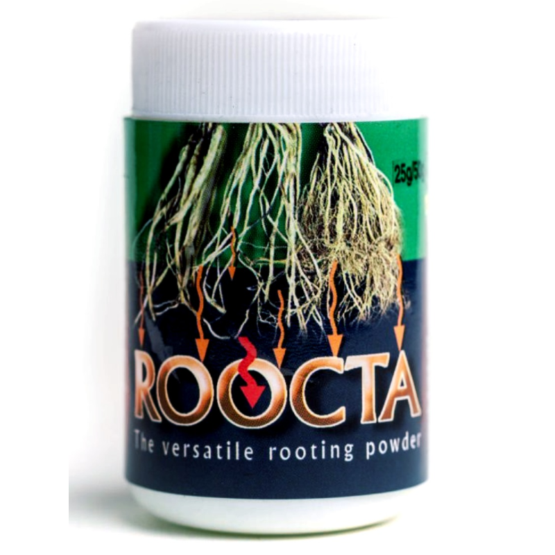 Roocta | රුක්ටා