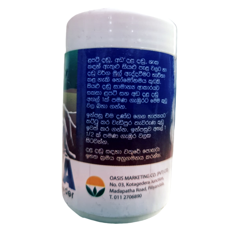 Roocta | රුක්ටා