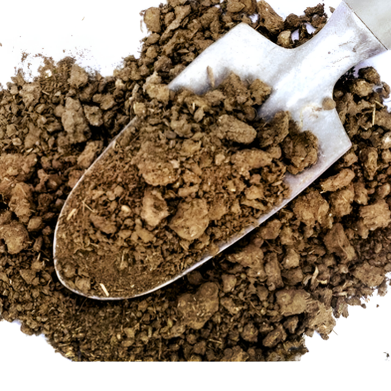 Cow Dung | ගොම පොහොර