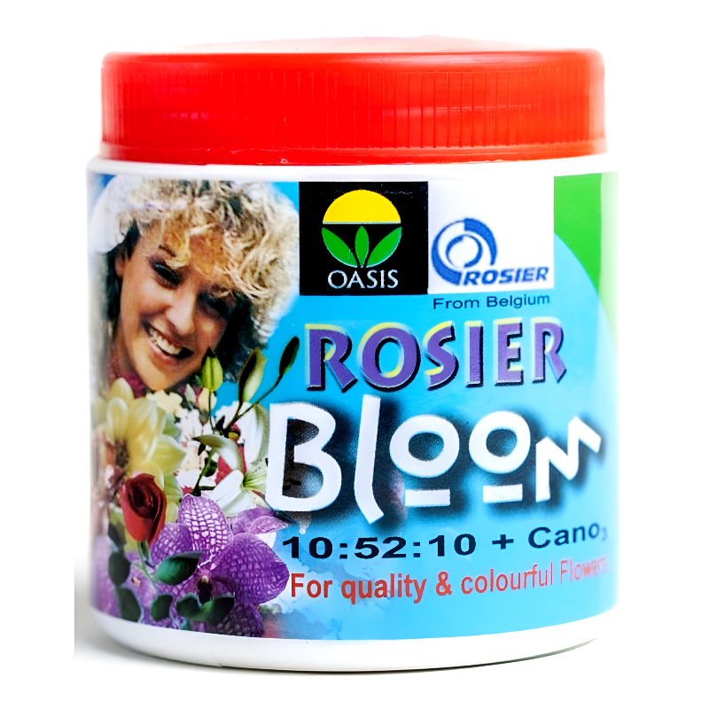 Rosier Bloom | රෝසියර් බ්ලූම්