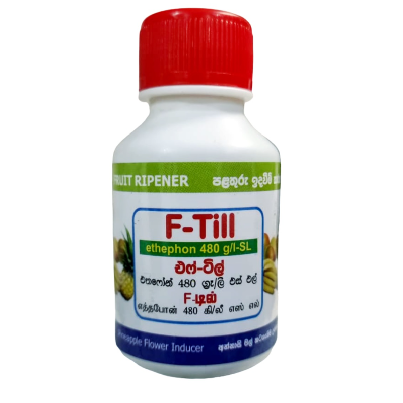 F-Till | එෆ්-ටිල්