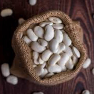 Poroto Pallar Grande