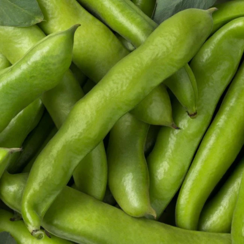 Κουκιά - Broadbeans Main Image