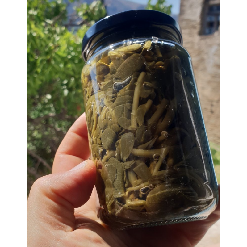 Γλιστρίδα Τουρσί -  Purslane Pickle