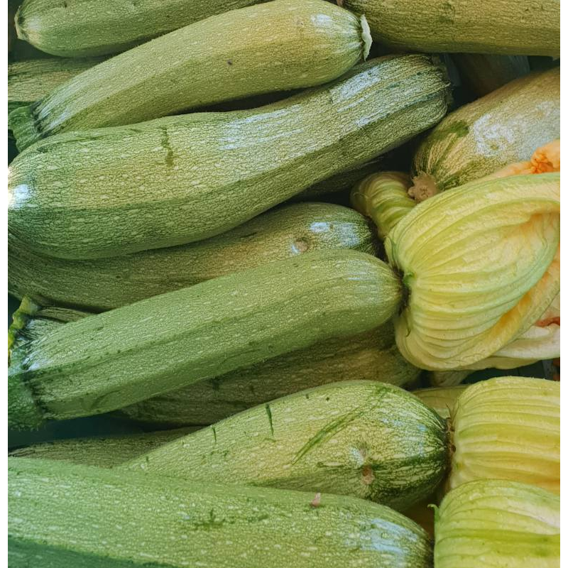 Κολοκυθάκια / Zucchinis Main Image