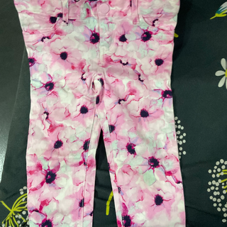 Zara Floral Pants 