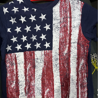 U.S. POLO American Flag Shirt 