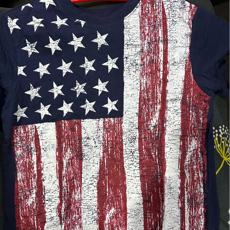 U.S. POLO American Flag Shirt  Main Image