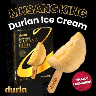 Premium 3D Musang King Durian Ice Cream (6 boxes bundle)