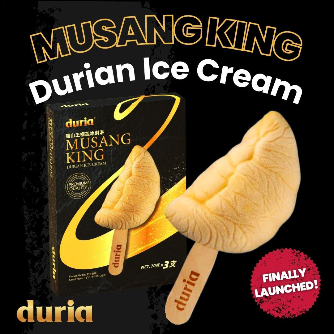 Premium 3D Musang King Durian Ice Cream (6 boxes bundle) Main Image