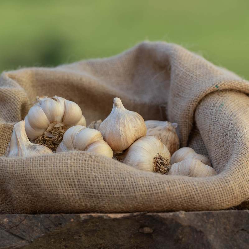 Eko česen, 500 g, 1kos