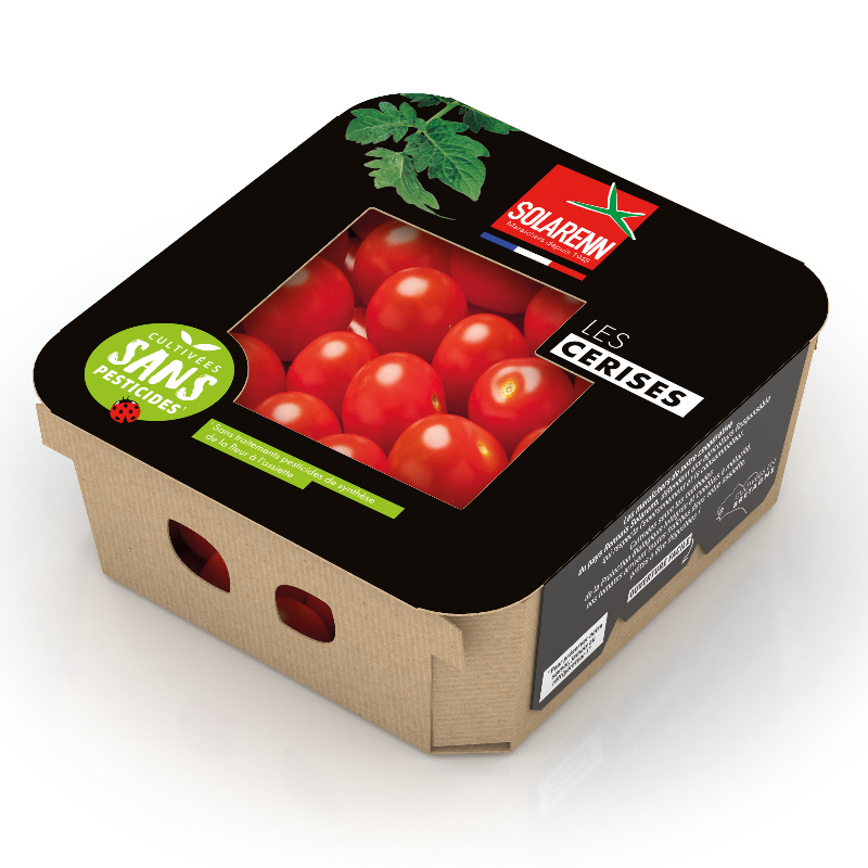 Tomate cerise ronde - 250gr SP