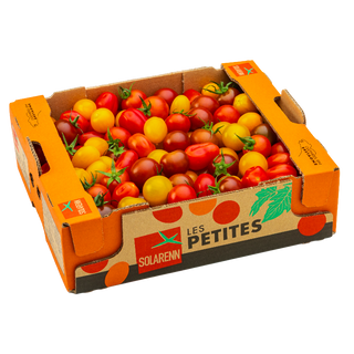 Tomate cerise mélangée - 1kg