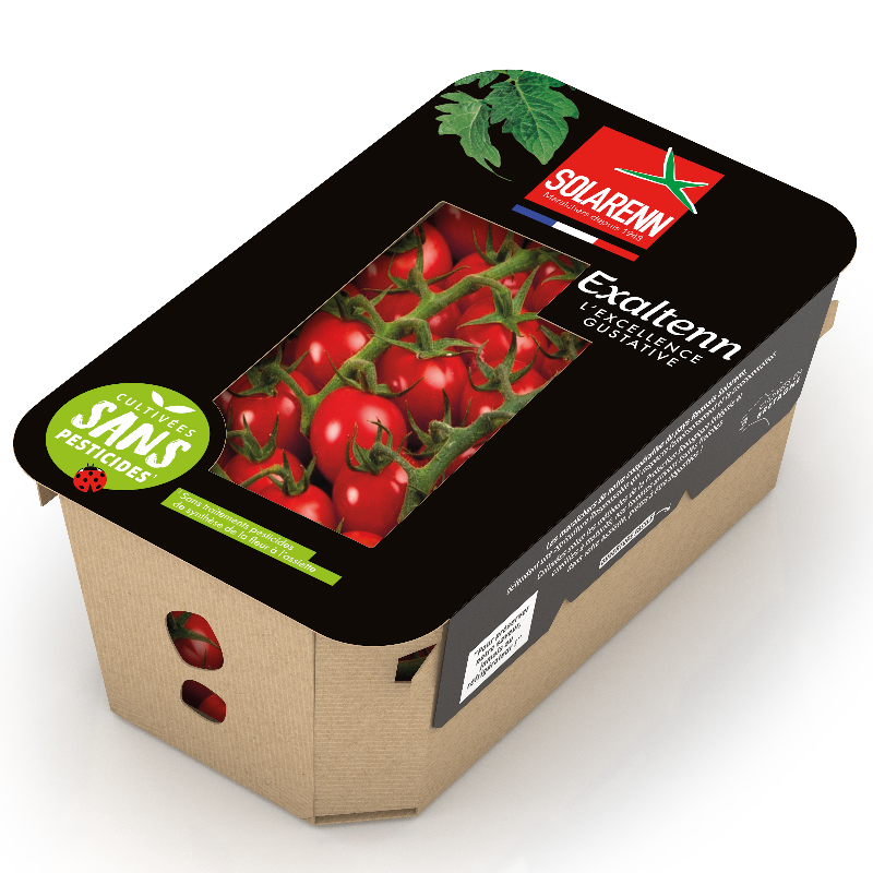 Tomate cerise grappe - 350gr SP