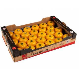 Tomate Beef Orange - 7 kg