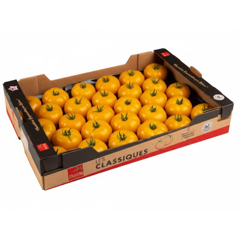 Tomate Beef Orange - 7 kg