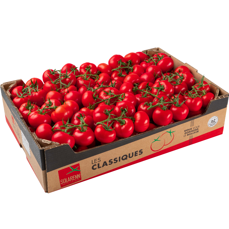 Tomate Grappe vrac Extra - 10kg