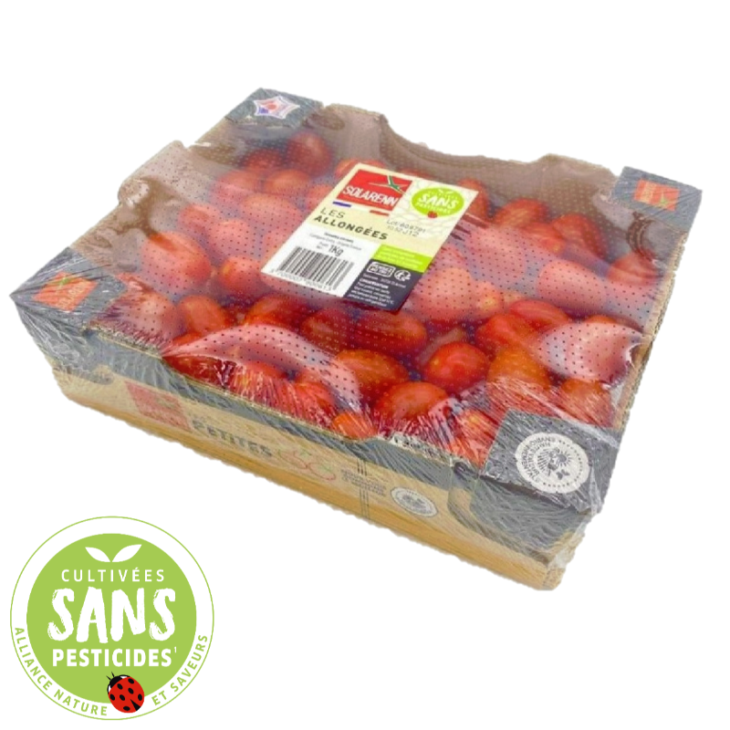 Tomate cerise allongée - 1kg