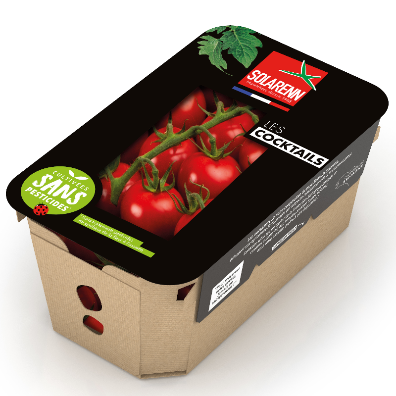 Tomate cocktail - 500gr SP