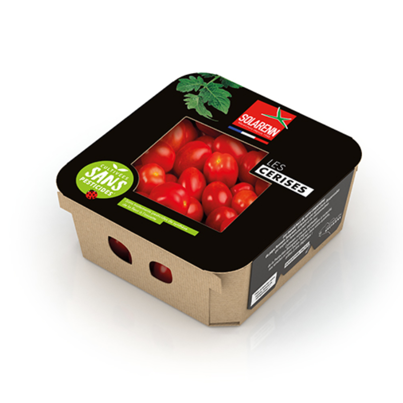 Tomate cerise allongée - 250gr SP