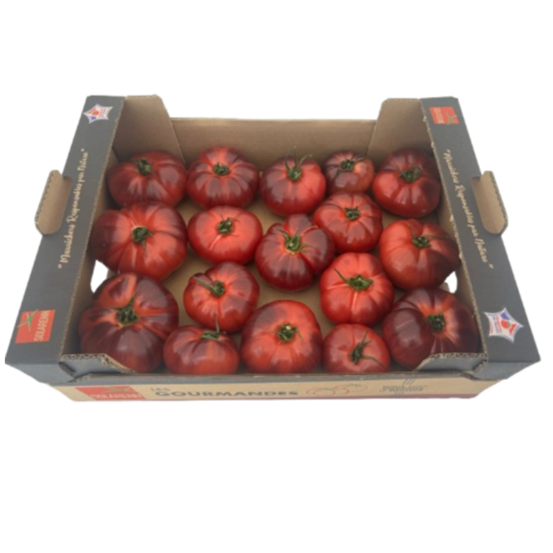 Tomate Bleue Côtelée