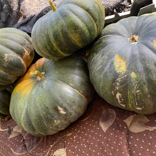 Calabaza (2 lbs)