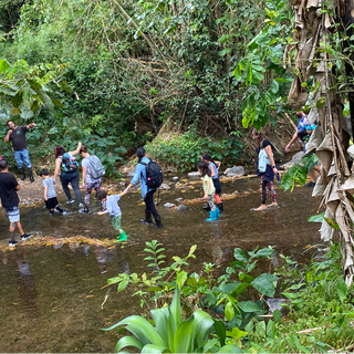 Recorrido en finca Bohití (12 años o menos)